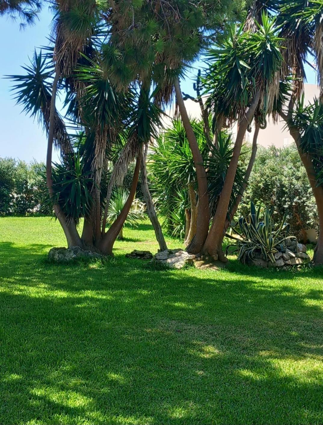 Blu Vacanze Residence Favignana Buitenkant foto