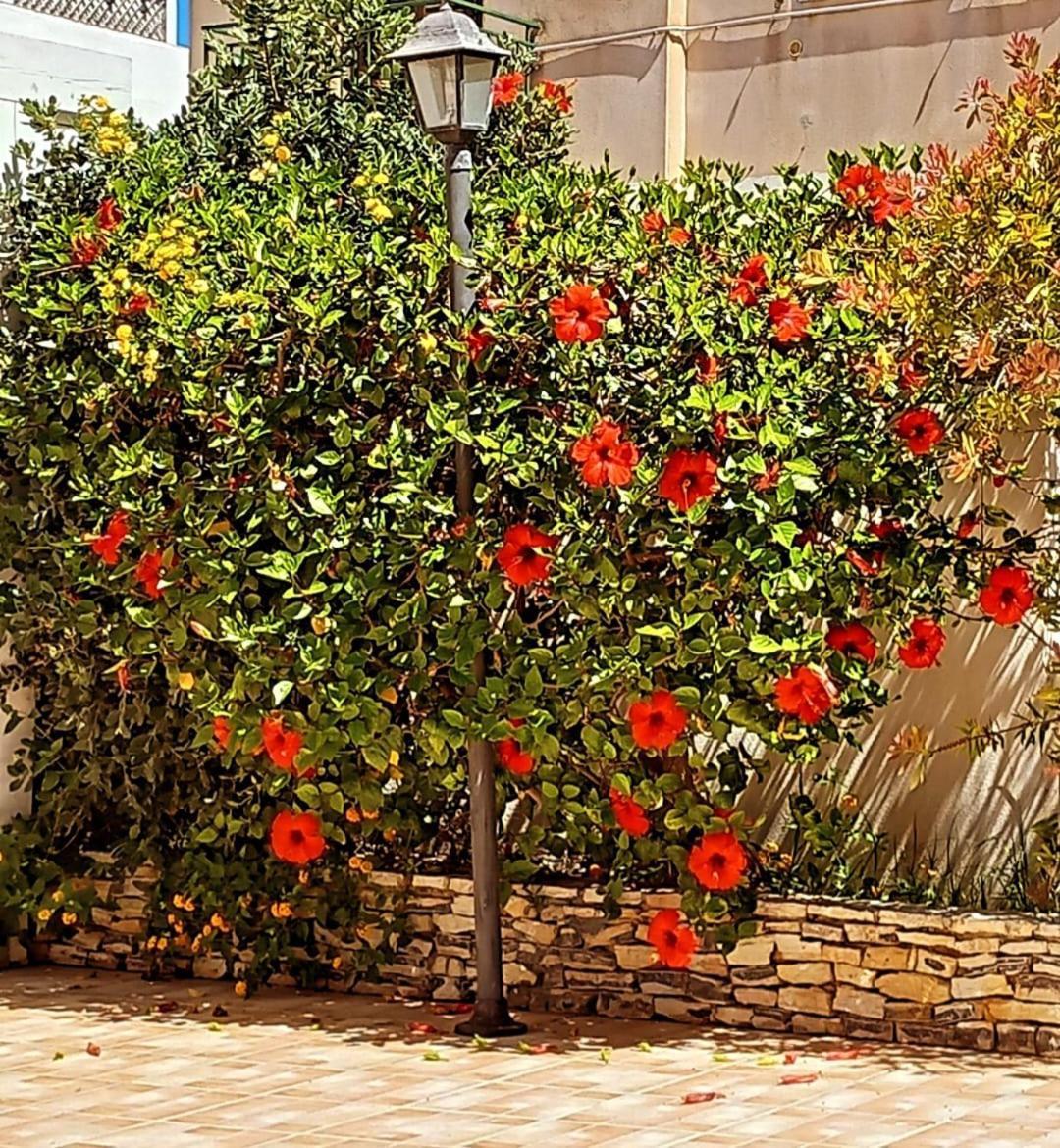 Blu Vacanze Residence Favignana Buitenkant foto